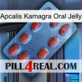 Apcalis Kamagra Oral Jelly 06